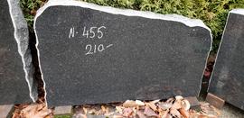 Hauakivi No.455