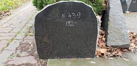 Hauakivi No.439